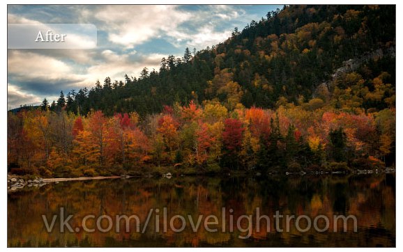Preset Autumn Forest for lightroom