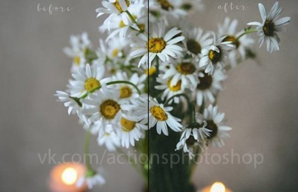 Preset Flowers Presets for lightroom