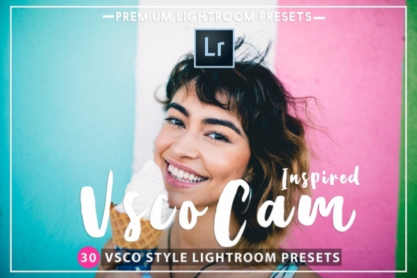 Preset Vsco Cam inspired for lightroom