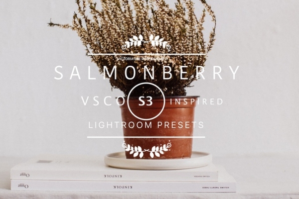 Preset VB Salmonberry for lightroom