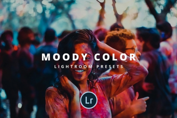 Preset Moody color (mobile) for lightroom