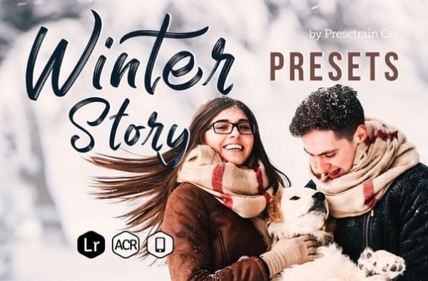 Preset Winter Story for lightroom