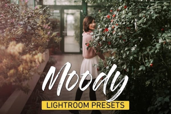 Preset Moody Bundle for lightroom