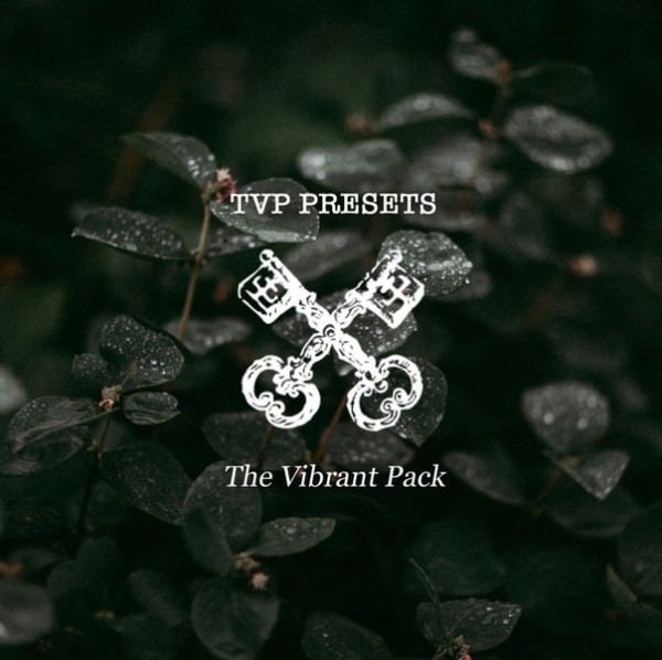 Preset TVP Vibrant Pack for lightroom