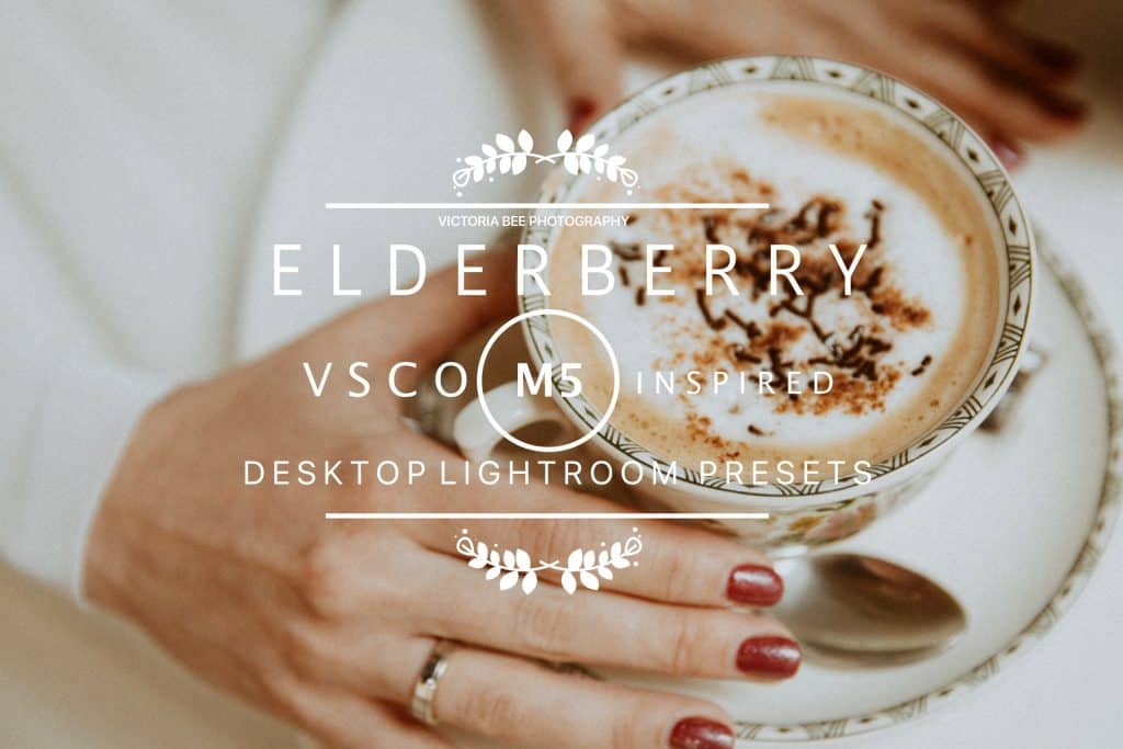 Preset ELDERBERRY VSCO Cam M5 LR for lightroom