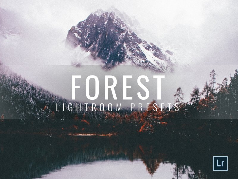 Preset Forest for lightroom